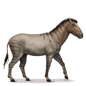 caballo prehistórico hippidion