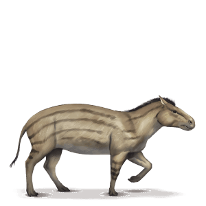 caballo prehistórico hiracoterio