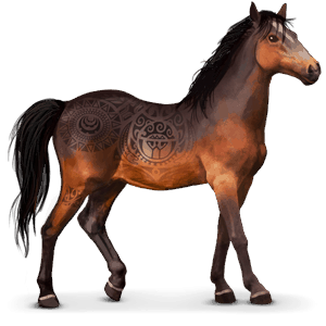 caballo salvaje kaimanawa