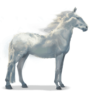 caballo de agua nube 