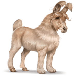 caballo salvaje angora inglés