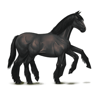 sleipnir-noir.png