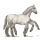 sleipnir-blanc.png