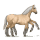 sleipnir-palomino.png