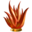 llama del dragón